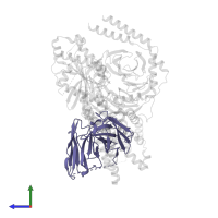 scFv16 in PDB entry 8xog, assembly 1, side view.