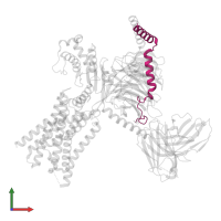 Guanine nucleotide-binding protein G(I)/G(S)/G(O) subunit gamma-2 in PDB entry 8xog, assembly 1, front view.