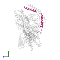 Guanine nucleotide-binding protein G(I)/G(S)/G(O) subunit gamma-2 in PDB entry 8xog, assembly 1, side view.