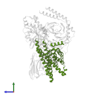 G-protein coupled estrogen receptor 1 in PDB entry 8xog, assembly 1, side view.