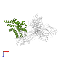 G-protein coupled estrogen receptor 1 in PDB entry 8xog, assembly 1, top view.