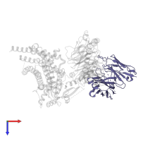 scFv16 in PDB entry 8xoj, assembly 1, top view.