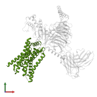 G-protein coupled estrogen receptor 1 in PDB entry 8xoj, assembly 1, front view.