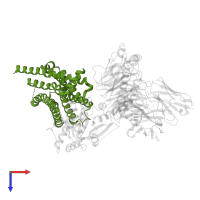 G-protein coupled estrogen receptor 1 in PDB entry 8xoj, assembly 1, top view.