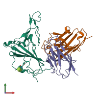 PDB entry 8xsi coloured by chain, front view.