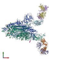 PDB entry 8xsl coloured by chain, front view.
