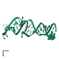 RNA (53-MER) in PDB entry 8xzm, assembly 1, top view.