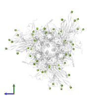 2-acetamido-2-deoxy-beta-D-glucopyranose in PDB entry 8y19, assembly 1, side view.