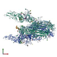 PDB entry 8y1c coloured by chain, front view.