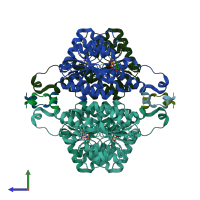 PDB entry 8y2h coloured by chain, side view.