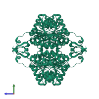 Delta-1-pyrroline-5-carboxylate synthase A in PDB entry 8y2h, assembly 1, side view.