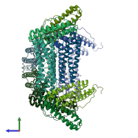 PDB entry 8y6f coloured by chain, side view.