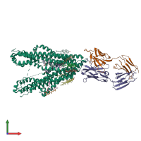 PDB entry 8y6i coloured by chain, front view.