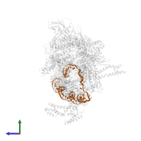 Non-template promoter DNA in PDB entry 8y6u, assembly 1, side view.