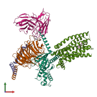 PDB entry 8yky coloured by chain, front view.