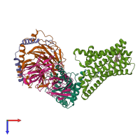 PDB entry 8yky coloured by chain, top view.