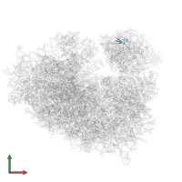 Ubiquitin-ribosomal protein eS31 fusion protein in PDB entry 8yoo, assembly 1, front view.