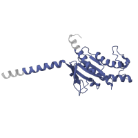 The deposited structure of PDB entry 8yw5 contains 1 copy of Pfam domain PF00503 (G-protein alpha subunit) in Guanine nucleotide-binding protein G(s) subunit alpha isoforms short. Showing 1 copy in chain C [auth A].