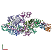 PDB entry 8z99 coloured by chain, front view.