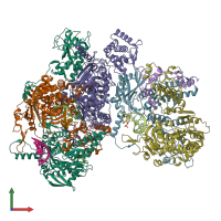 PDB entry 8z9h coloured by chain, front view.