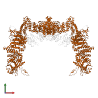 Dedicator of cytokinesis protein 5 in PDB entry 8zji, assembly 1, front view.