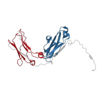 The deposited structure of PDB entry 9arv contains 30 copies of Pfam domain PF07654 (Immunoglobulin C1-set domain) in Immunoglobulin heavy constant mu. Showing 3 copies in chain A (some of the copies are out of the observed residue ranges!).