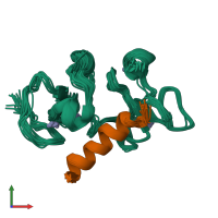 PDB entry 9atn coloured by chain, ensemble of 15 models, front view.