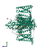 PDB entry 9ayh coloured by chain, side view.