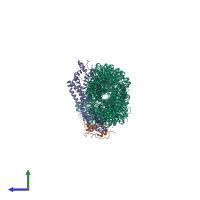 Hetero nonameric assembly 1 of PDB entry 9azq coloured by chemically distinct molecules, side view.