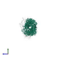 Actin, alpha skeletal muscle in PDB entry 9azq, assembly 1, side view.