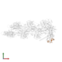 Inverted formin-2 in PDB entry 9azq, assembly 1, front view.