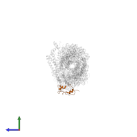 Inverted formin-2 in PDB entry 9azq, assembly 1, side view.