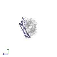 Inverted formin-2 in PDB entry 9azq, assembly 1, side view.