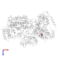 4-aminobutanenitrile in PDB entry 9b5c, assembly 1, top view.