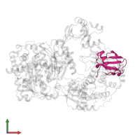 Ubiquitin in PDB entry 9b5l, assembly 1, front view.