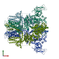 PDB entry 9b8w coloured by chain, front view.