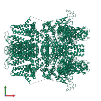 Homo tetrameric assembly 1 of PDB entry 9b93 coloured by chemically distinct molecules, front view.