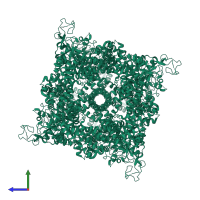 Homo tetrameric assembly 1 of PDB entry 9b93 coloured by chemically distinct molecules, side view.