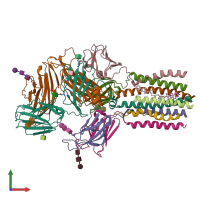 PDB entry 9bbc coloured by chain, front view.