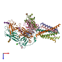 PDB entry 9bbc coloured by chain, top view.