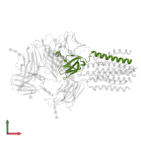 T-cell surface glycoprotein CD3 gamma chain in PDB entry 9bbc, assembly 1, front view.