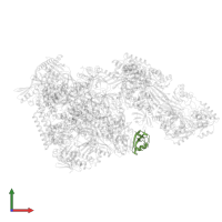 Transcription elongation factor Spt4 in PDB entry 9bcu, assembly 1, front view.