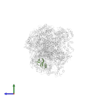 Transcription elongation factor Spt4 in PDB entry 9bcu, assembly 1, side view.