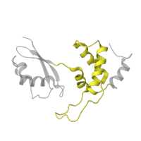 The deposited structure of PDB entry 9bdp contains 1 copy of Pfam domain PF00298 (Ribosomal protein L11, RNA binding domain) in Large ribosomal subunit protein uL11. Showing 1 copy in chain O [auth AL12].