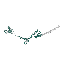 The deposited structure of PDB entry 9bdp contains 1 copy of Pfam domain PF01280 (Ribosomal protein L19e) in Large ribosomal subunit protein eL19. Showing 1 copy in chain V [auth AL19].