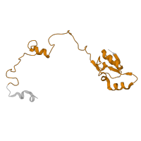 The deposited structure of PDB entry 9bdp contains 1 copy of Pfam domain PF00828 (Ribosomal proteins 50S-L15, 50S-L18e, 60S-L27A) in Large ribosomal subunit protein uL15. Showing 1 copy in chain EA [auth AL28].