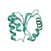 The deposited structure of PDB entry 9bdp contains 1 copy of Pfam domain PF01248 (Ribosomal protein L7Ae/L30e/S12e/Gadd45 family) in Large ribosomal subunit protein eL30. Showing 1 copy in chain GA [auth AL30].