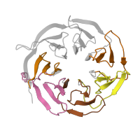 The deposited structure of PDB entry 9bdp contains 5 copies of Pfam domain PF00400 (WD domain, G-beta repeat) in Small ribosomal subunit protein RACK1. Showing 5 copies in chain XA [auth ARAC].