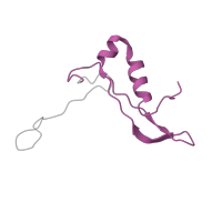 The deposited structure of PDB entry 9bdp contains 1 copy of Pfam domain PF01249 (Ribosomal protein S21e ) in Small ribosomal subunit protein eS21. Showing 1 copy in chain TB [auth AS21].