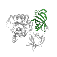 The deposited structure of PDB entry 9bdp contains 1 copy of Pfam domain PF22594 (GTP-eEF1A C-terminal domain-like) in Elongation factor 1-alpha. Showing 1 copy in chain DC [auth EF1A].